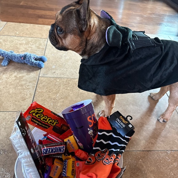 Like to be notified when I go live - Picture 2 of 10